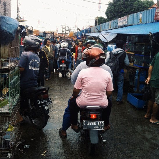 Processed with VSCOcam with g3 preset